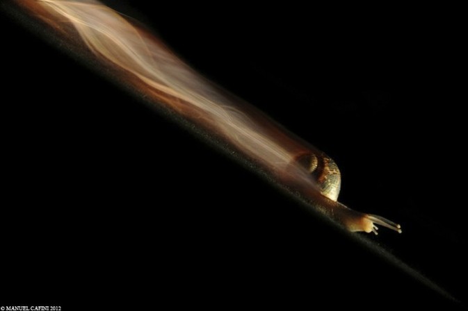 movimiento de cuerpos