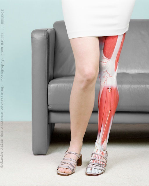 Koen Hauser, anatomía