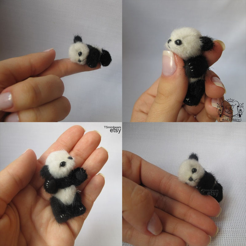 Osito panda