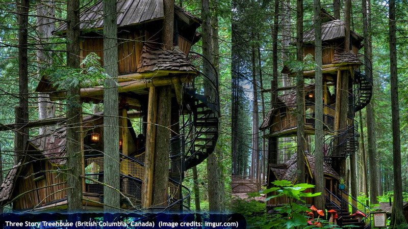 Three Story Treehouse (British Columbia, Canada)