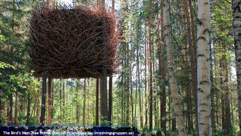 The Bird’s Nest Tree House (Sweden)