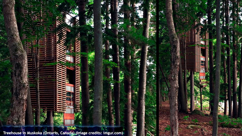 Treehouse in Muskoka (Ontario, Canada)