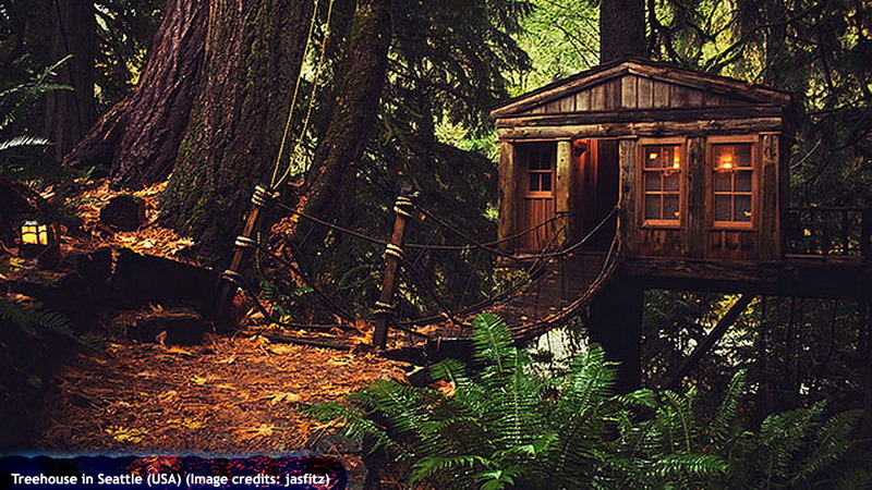 Treehouse in Seattle (USA)