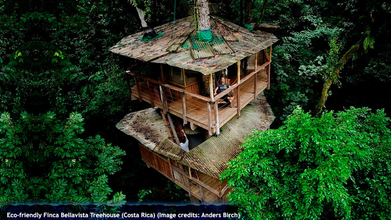 Eco-friendly Finca Bellavista Treehouse (Costa Rica)