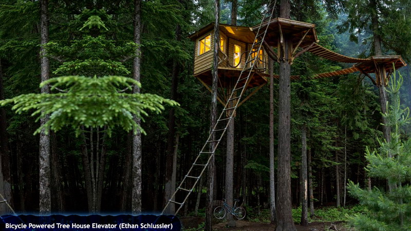 treehouses_18a